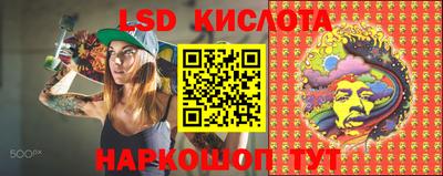 прущие грибы Ливны