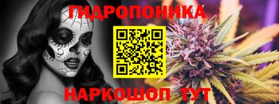 твердый Лесосибирск
