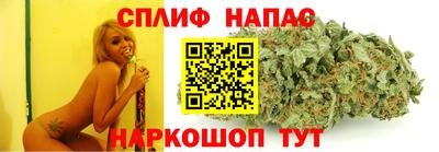 прущие грибы Ливны